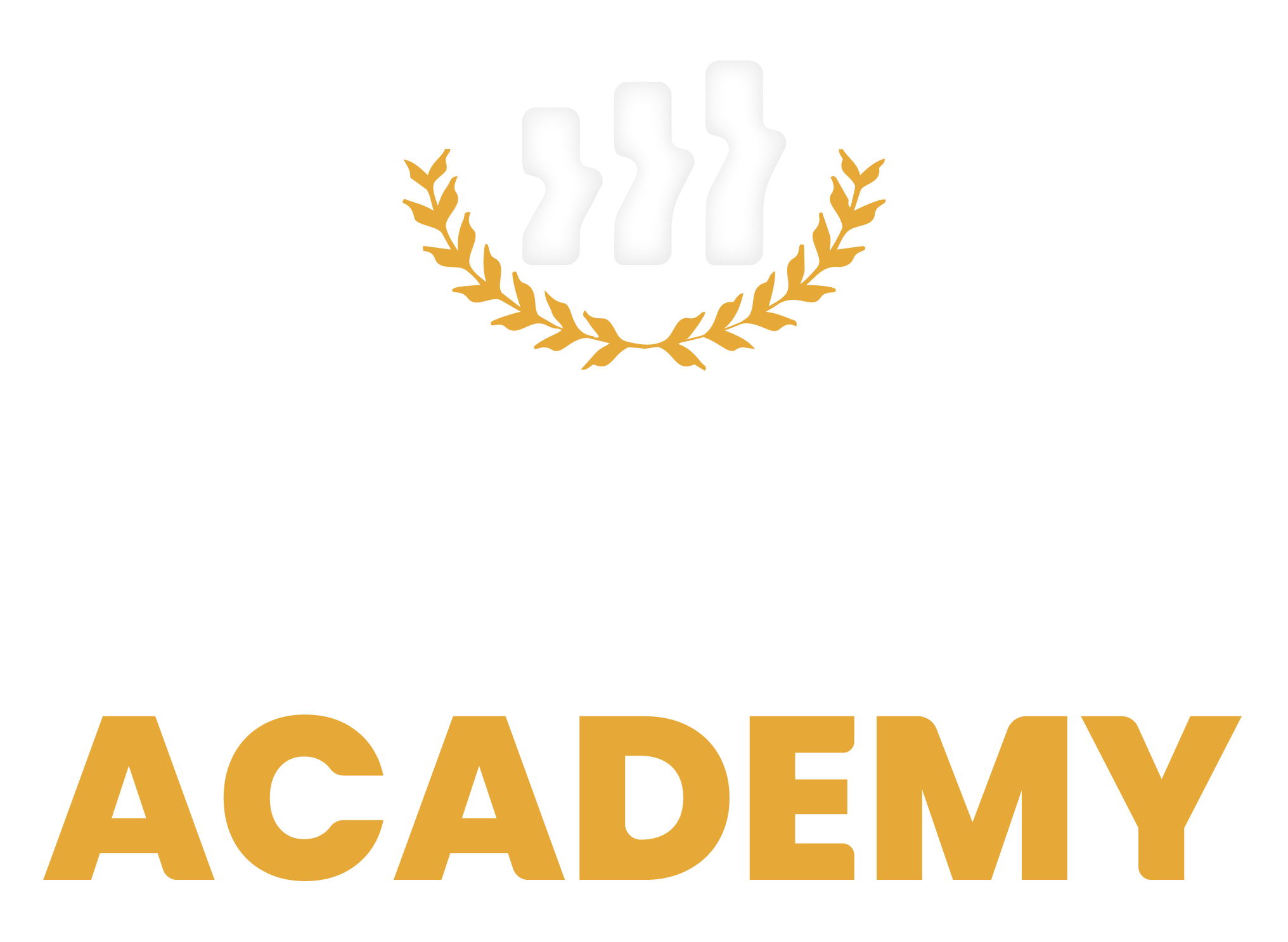 Emusys Academy